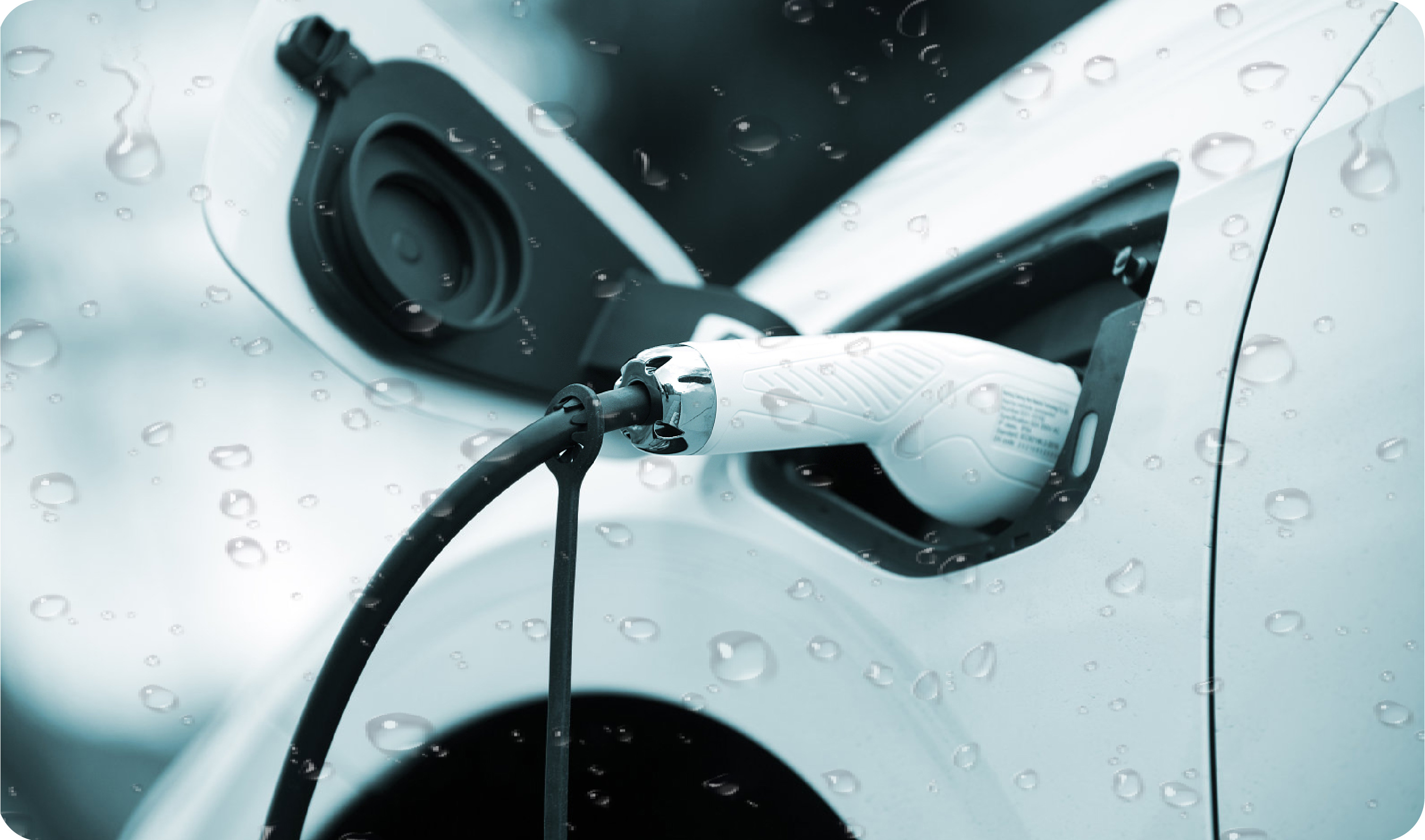 尊龙凯时·(中国游)官方网站