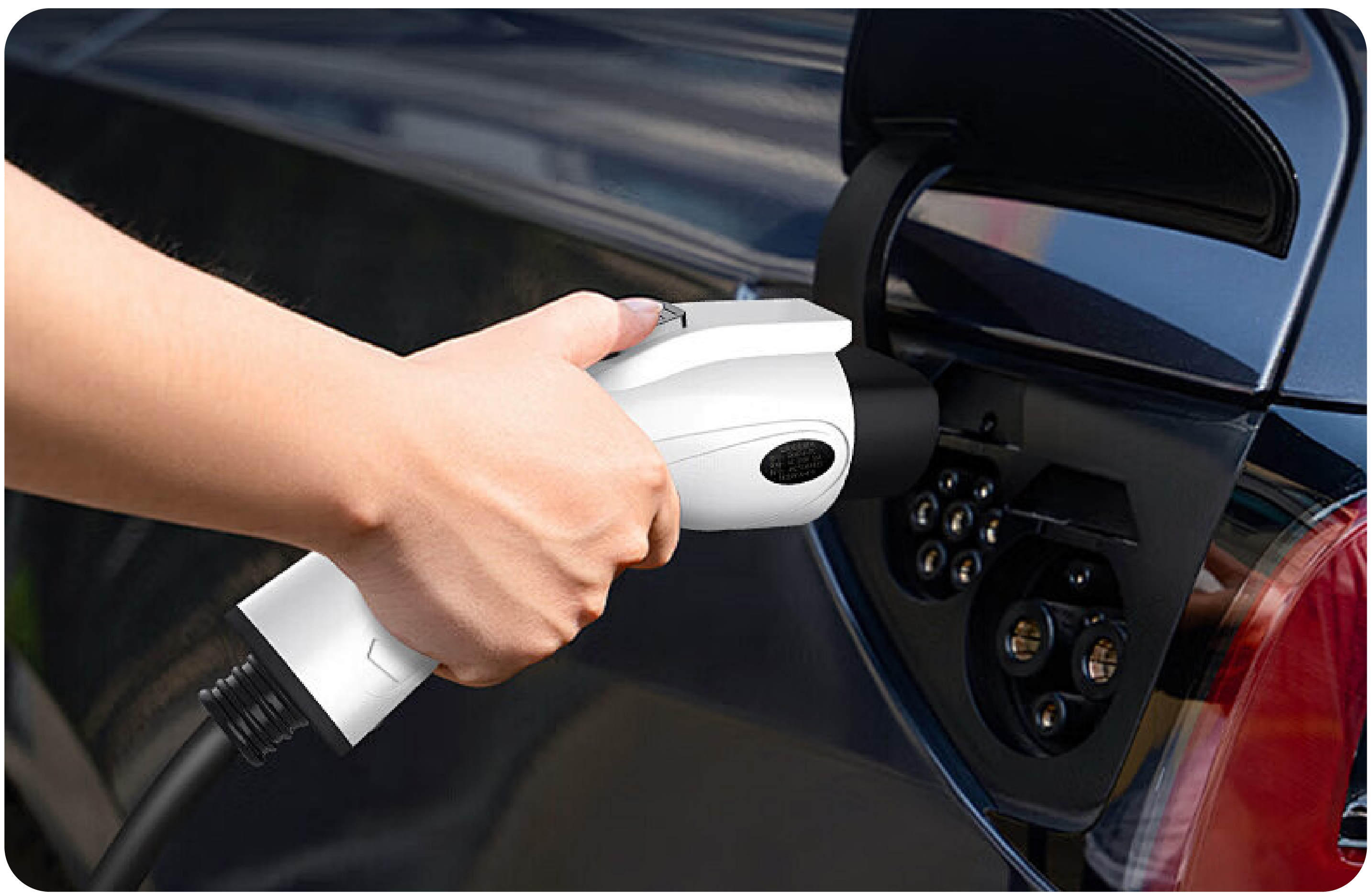 尊龙凯时·(中国游)官方网站